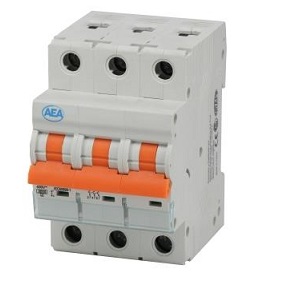 INT TERMOMAG 3X 10A 6KA   TMI-6KA-C10 3P